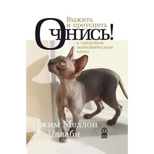 Очнись! Выжить и преуспеть в грядущем экономическом хаосе Очнись! Выжить и преуспеть в грядущем экономическом хаосе
