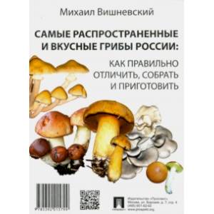 Самые распространенные и вкусные грибы России. Как правильно отличить, собрать и приготовить Самые распространенные и вкусные грибы России. Как правильно отличить, собрать и приготовить