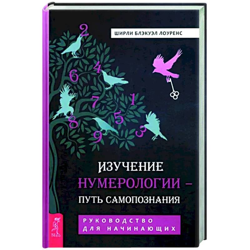 Изучение нумерологии — путь самопознания. Руководство для начинающих Изучение нумерологии — путь самопознания. Руководство для начинающих