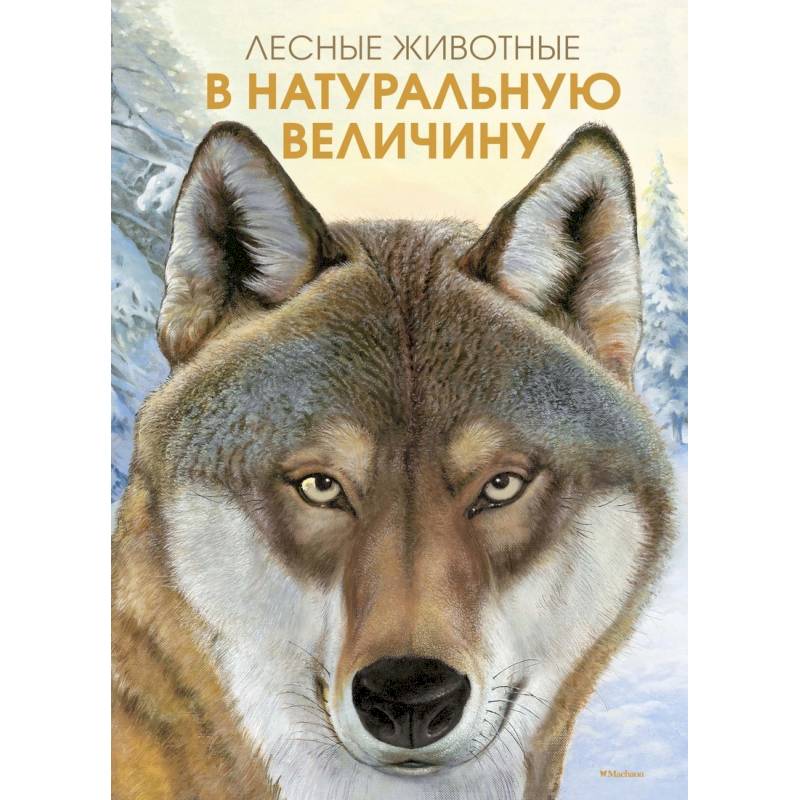 Лесные жители в натуральную величину Лесные жители в натуральную величину