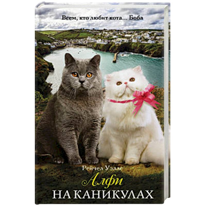 Алфи на каникулах Алфи на каникулах