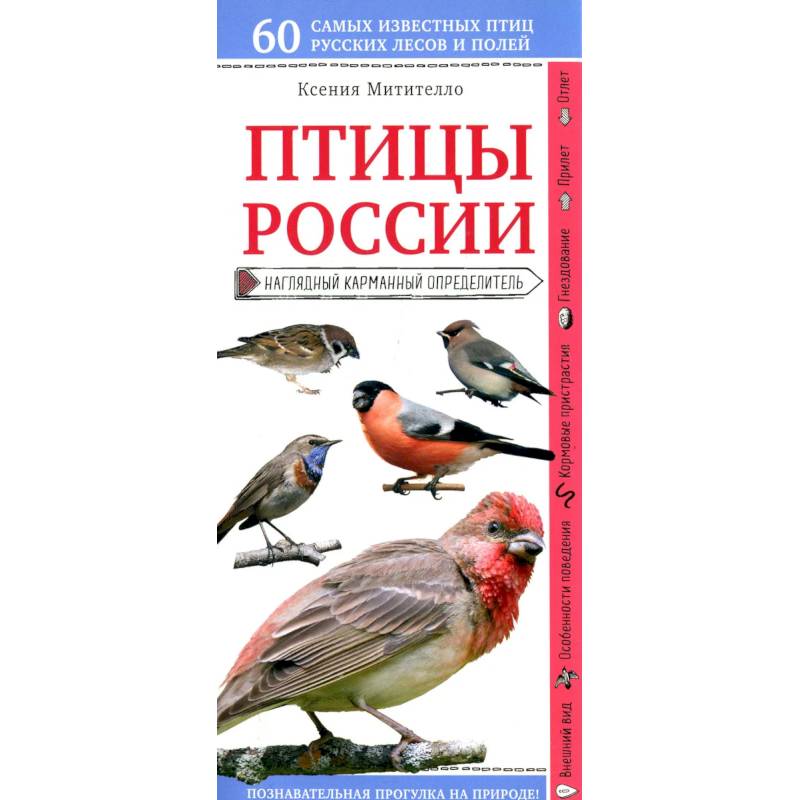 Птицы России. Наглядный карманный определитель