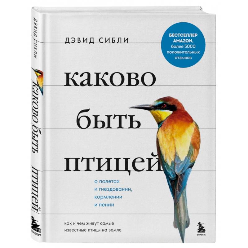 Каково быть птицей. О полетах и гнездовании, кормлении и пении. Как и чем живут самые известные птиц Каково быть птицей. О полетах и гнездовании, кормлении и пении. Как и чем живут самые известные птиц