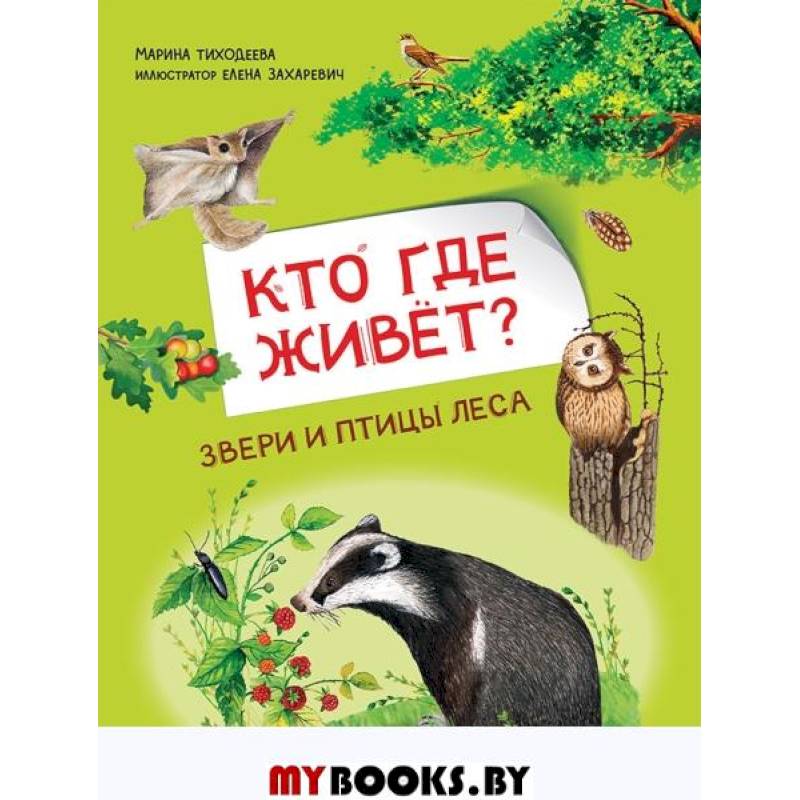 Кто где живёт? Звери и птицы леса