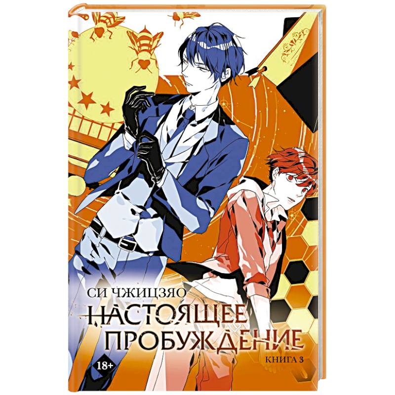 Настоящее пробуждение. Real Awakening. Книга 3 Настоящее пробуждение. Real Awakening. Книга 3