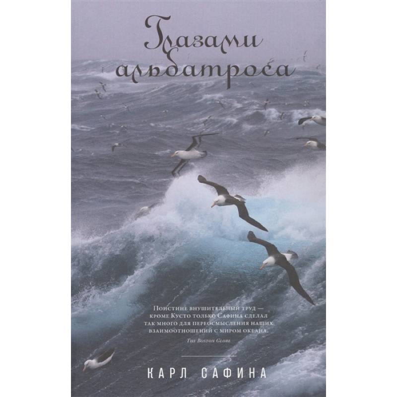 Глазами альбатроса Глазами альбатроса