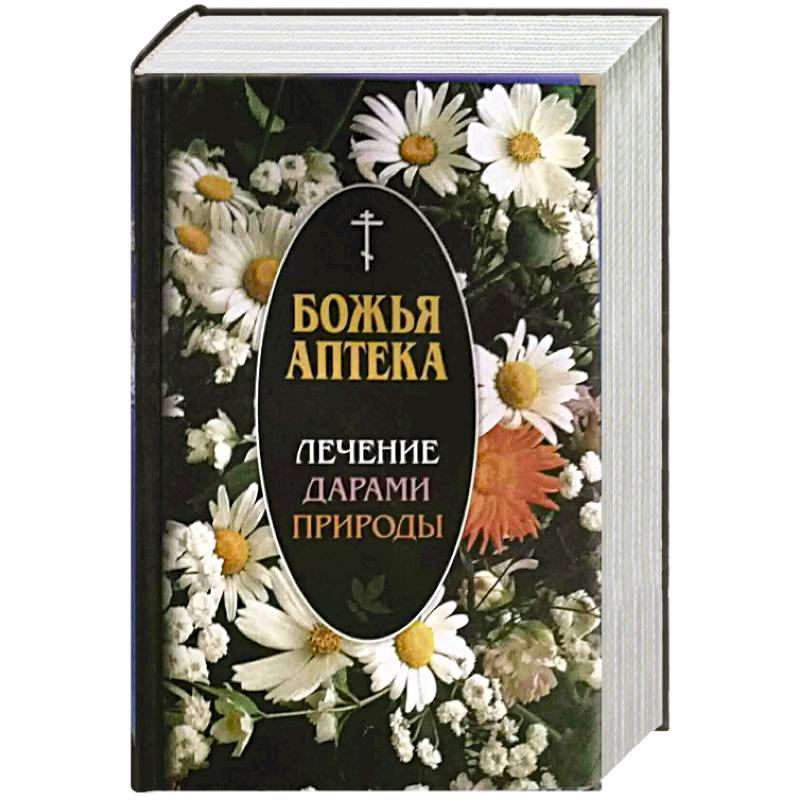 Божья аптека. Лечение дарами природы Божья аптека. Лечение дарами природы