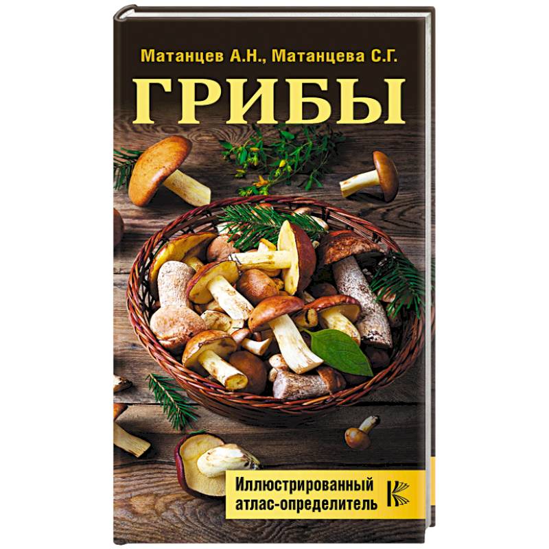 Грибы. Иллюстрированный атлас-определитель Грибы. Иллюстрированный атлас-определитель