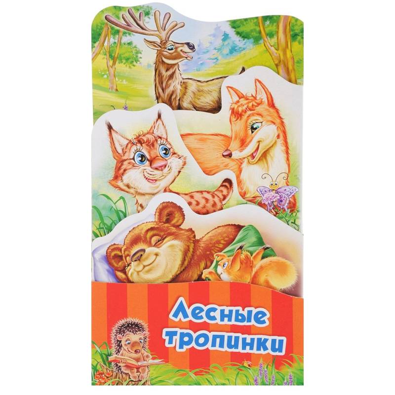 Лесные тропинки Лесные тропинки