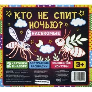Кто не спит ночью? Насекомые Кто не спит ночью? Насекомые