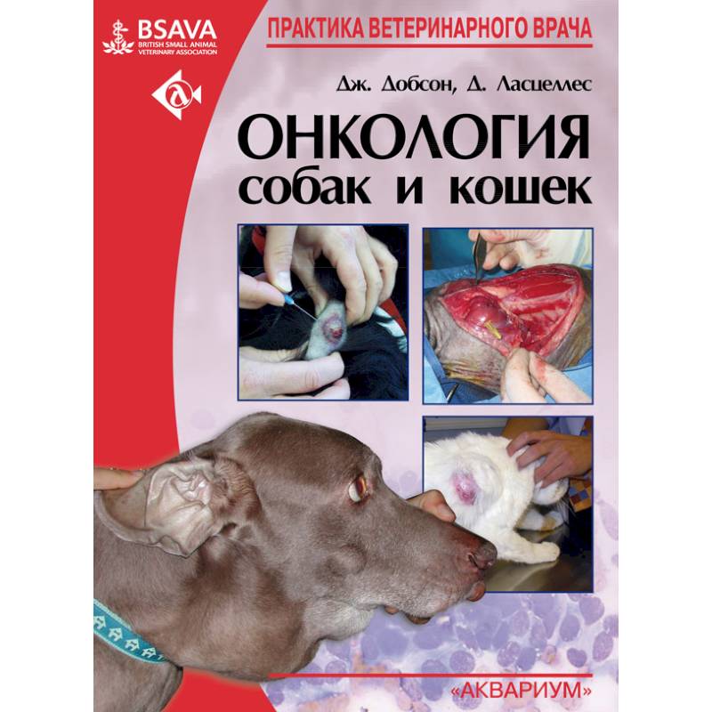 Онкология собак и кошек Онкология собак и кошек