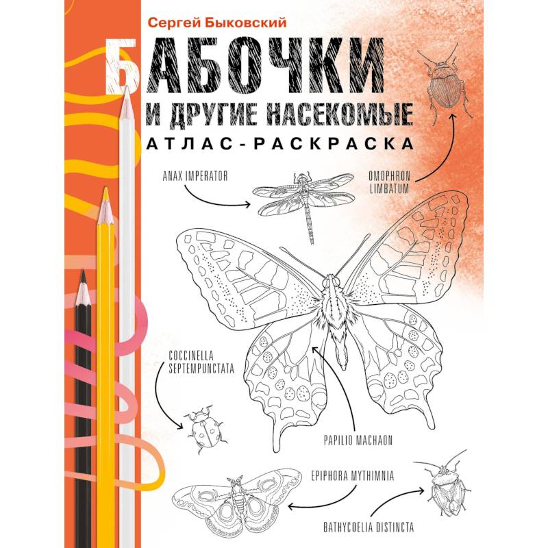 Бабочки и другие насекомые. Атлас-раскраска Бабочки и другие насекомые. Атлас-раскраска