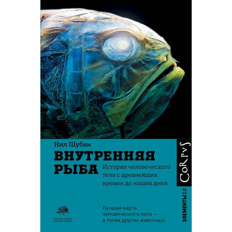 Внутренняя рыба Внутренняя рыба