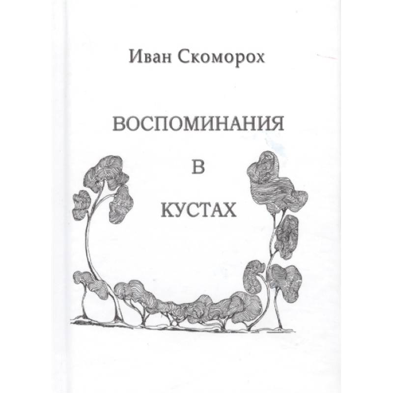 Воспоминания в кустах