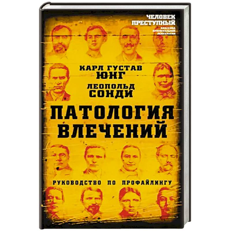 Патология влечений. Руководство по профайлингу Патология влечений. Руководство по профайлингу