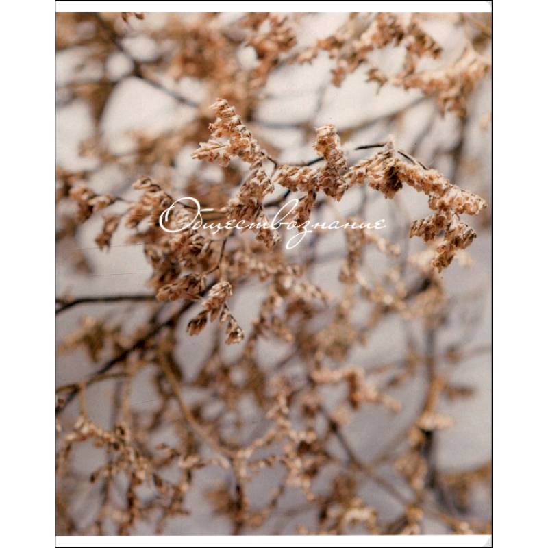 Тетрадь предметная Nude, Обществознание, 48 листов, клетка