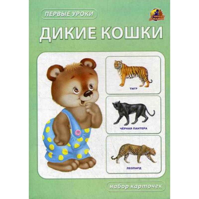 Дикие кошки Дикие кошки