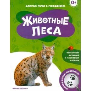 Животные леса Животные леса