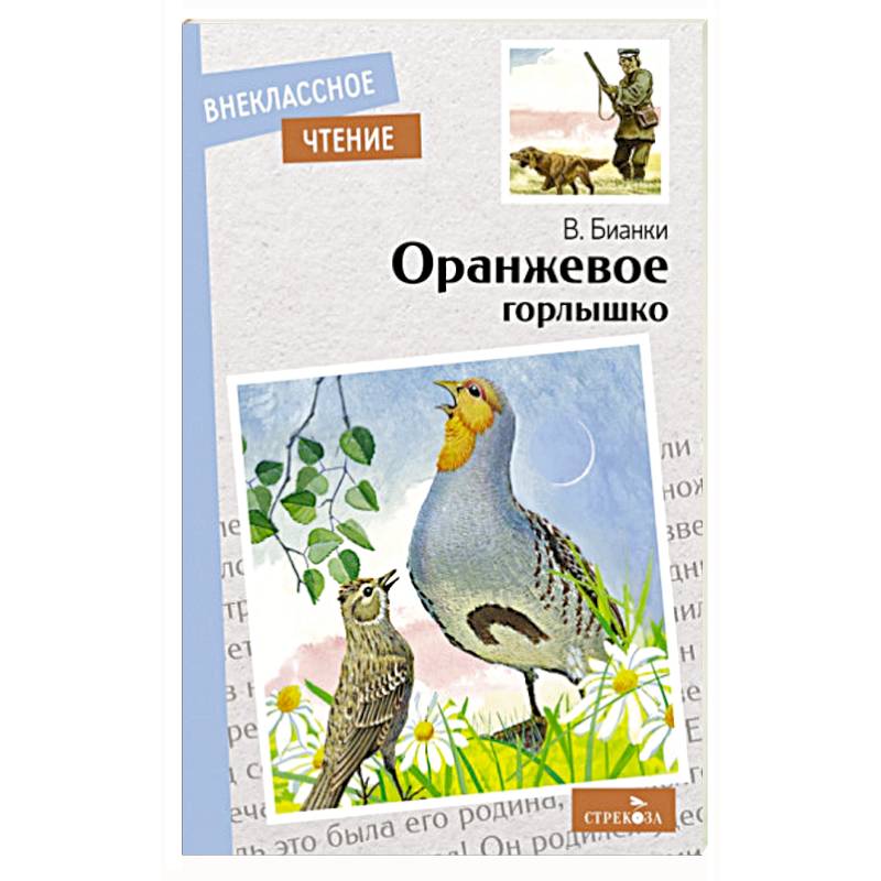 Оранжевое горлышко Оранжевое горлышко