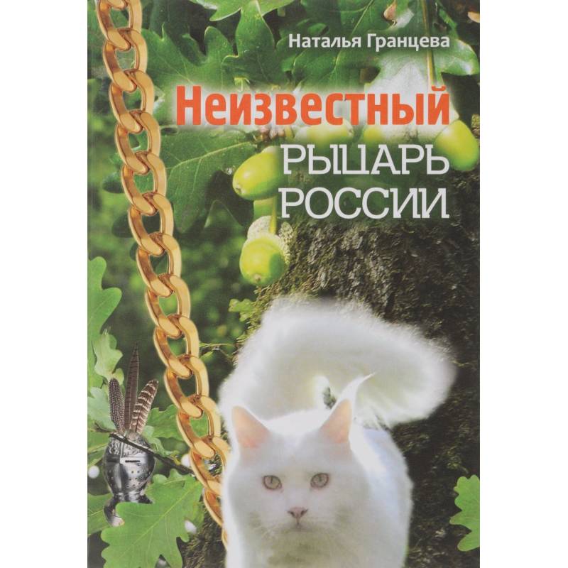 Неизвестный рыцарь России Неизвестный рыцарь России