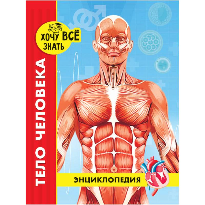 Хочу все знать. Тело человека Хочу все знать. Тело человека