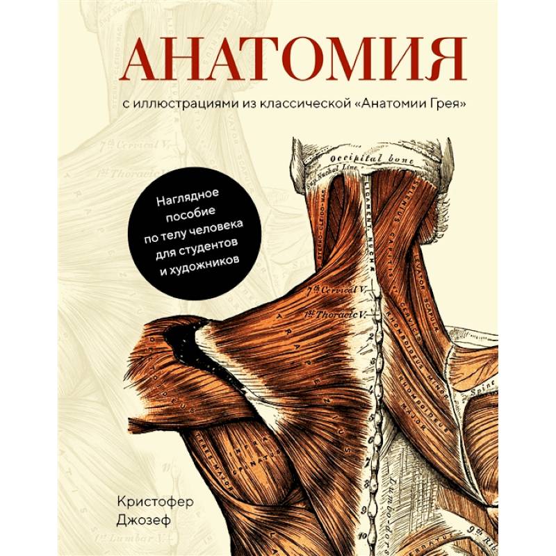 Книга по анатомии с картинками онлайн