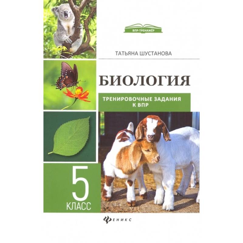 Биология. Тренировочные задания к ВПР с ответами и пояснениями. 5 класс Биология. Тренировочные задания к ВПР с ответами и пояснениями. 5 класс