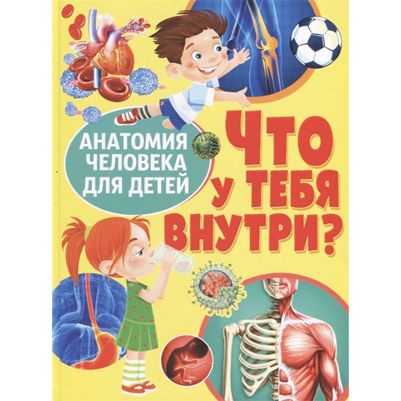 Что у тебя внутри? Анатомия человека для детей Что у тебя внутри? Анатомия человека для детей