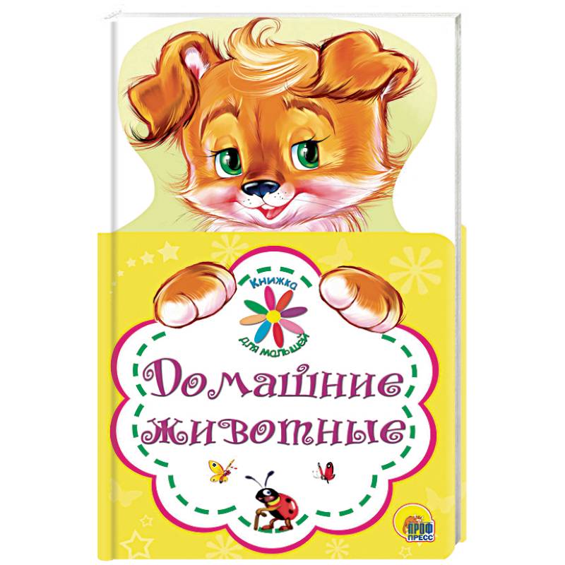 Домашние животные Домашние животные