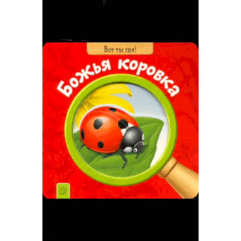 Вот ты где! Божья коровка Вот ты где! Божья коровка