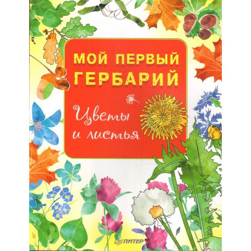 Мой первый гербарий. Цветы и листья Мой первый гербарий. Цветы и листья
