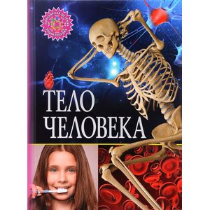 Тело человека Тело человека