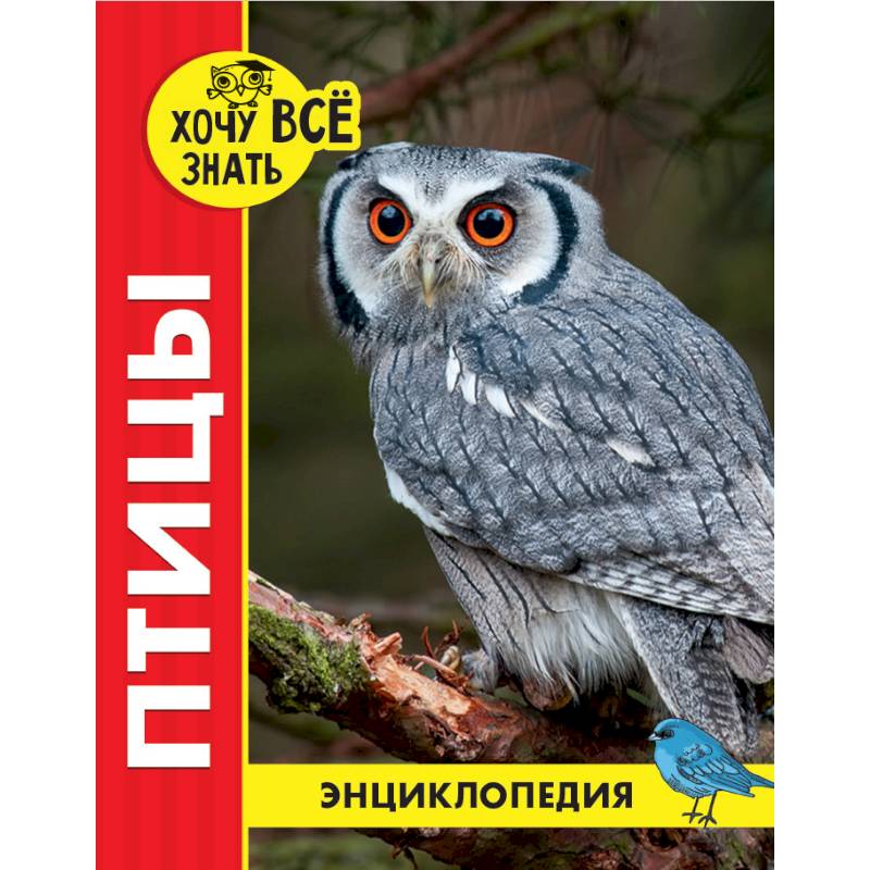 Энциклопедия. Птицы Энциклопедия. Птицы