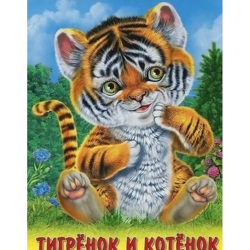 Тигренок и котенок Тигренок и котенок