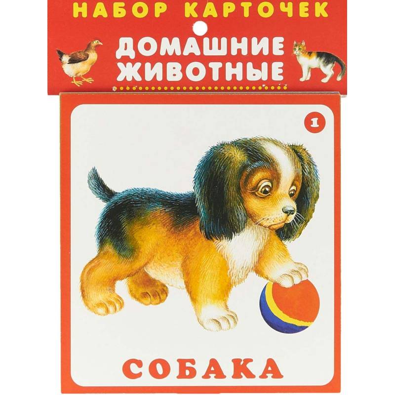 Набор карточек. Домашние животные Набор карточек. Домашние животные
