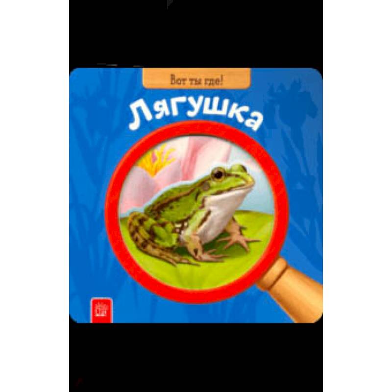 Вот ты где! Лягушка Вот ты где! Лягушка