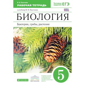 Биология. Бактерии, грибы 5 класс Биология. Бактерии, грибы 5 класс
