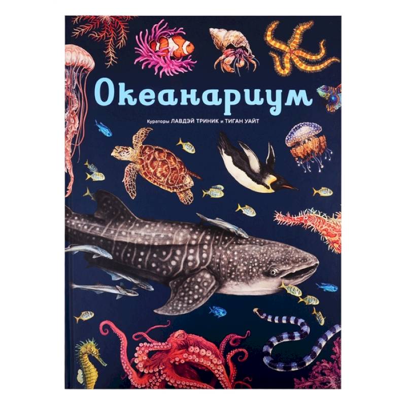 Океанариум Океанариум