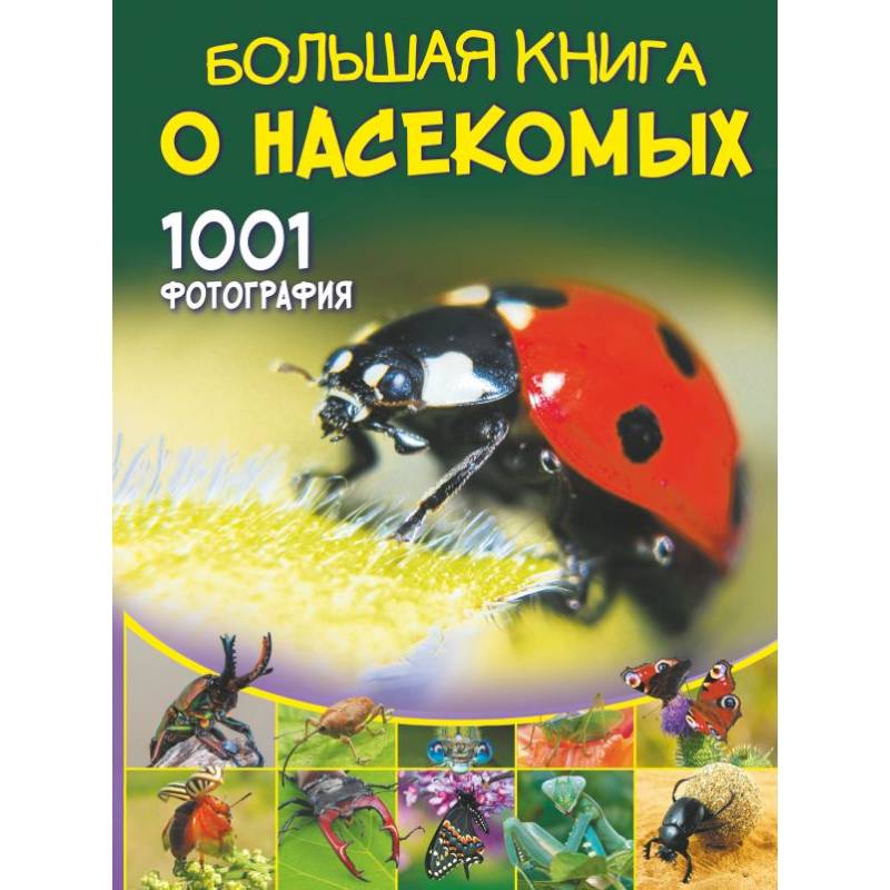 Большая книга о насекомых. 1001 фотография Большая книга о насекомых. 1001 фотография