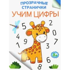 Учим цифры Учим цифры