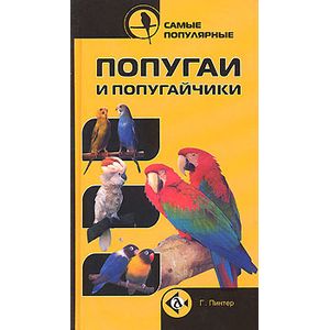Самые популярные попугаи и попугайчики Самые популярные попугаи и попугайчики