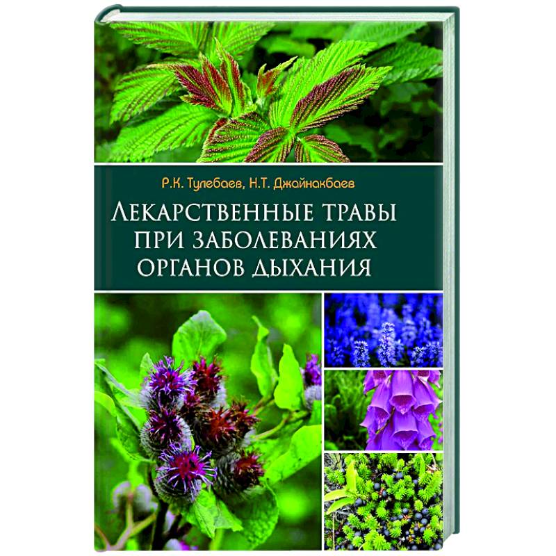 Лекарственные травы при заболеваниях органов дыхания Лекарственные травы при заболеваниях органов дыхания