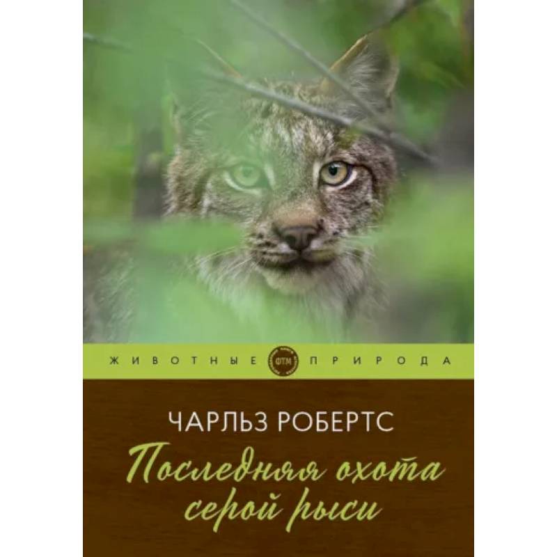 Последняя охота серой рыси Последняя охота серой рыси