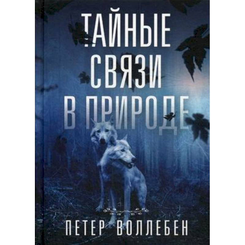 Тайные связи в природе Тайные связи в природе