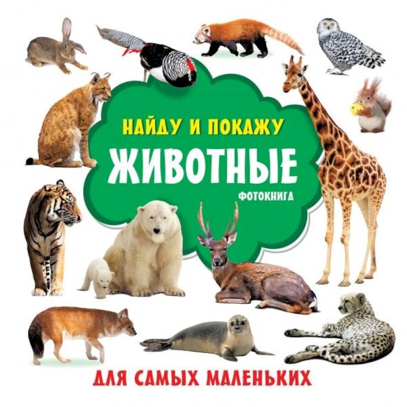 Животные. Фотокнига Животные. Фотокнига