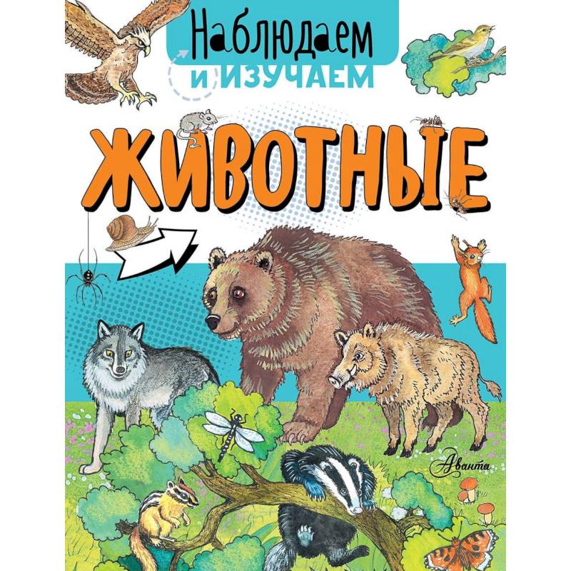 Животные Животные