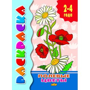 Полевые цветы Полевые цветы