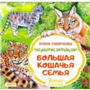 Большая кошачья семья Большая кошачья семья