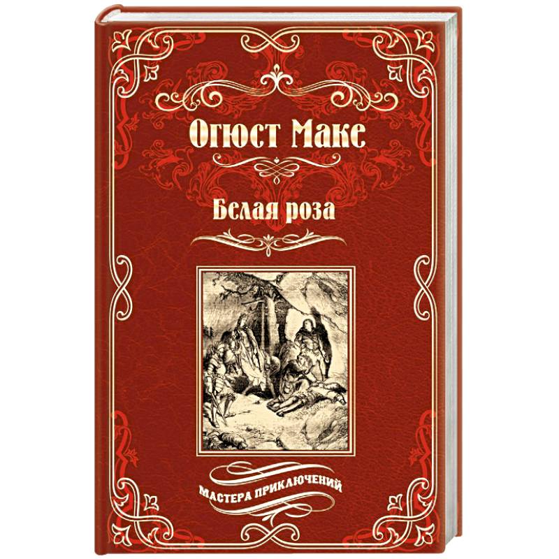 Белая роза Белая роза