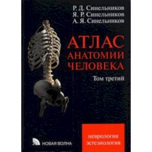 Атлас анатомии человека. В 3-х томах. Том 3